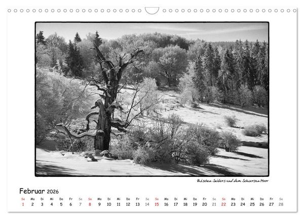 Produktbild: RH&Ouml;N SCHWARZ-WEISS (Wandkalender 2026 DIN A3 quer), CALVENDO Monatskalender