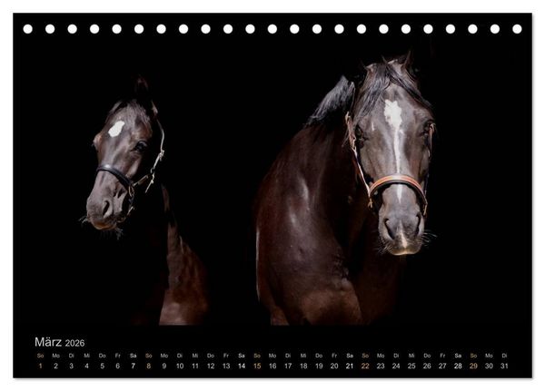 Produktbild: Magische Momente - Pferde Horses Caballos (Tischkalender 2026 DIN A5 quer), CALVENDO Monatskalender