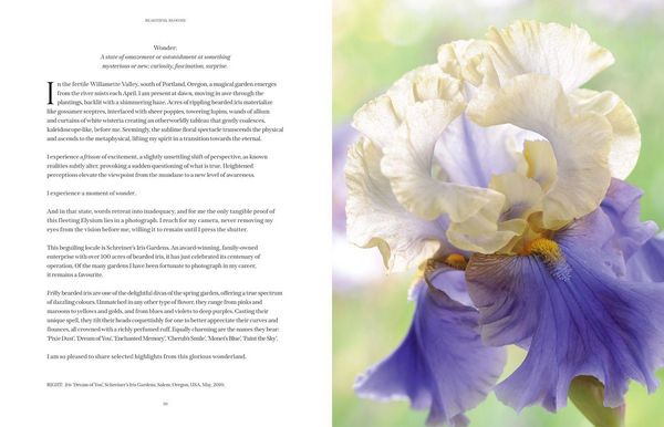 Produktbild: BEAUTIFUL BLOOMS HB