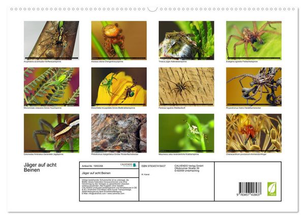 Produktbild: J&auml;ger auf acht Beinen (hochwertiger Premium Wandkalender 2026 DIN A2 quer), Kunstdruck in Hochglanz