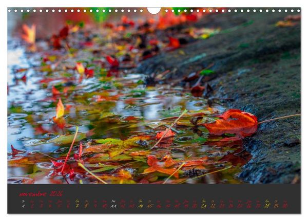 Produktbild: Un automne au Bois (Calendrier mural 2026 DIN A3 vertical), CALVENDO calendrier mensuel