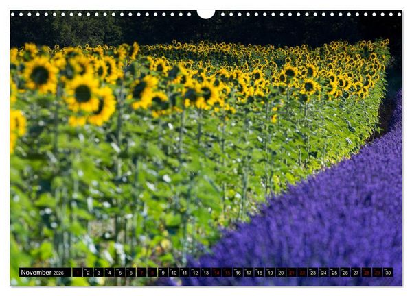 Produktbild: Provence im Rausch der Farben (Wandkalender 2026 DIN A3 quer), CALVENDO Monatskalender