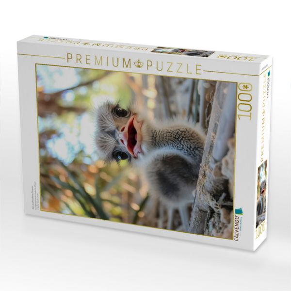Produktbild: CALVENDO Puzzle Der erschrockene Strauss | 1000 Teile Lege-Gr&ouml;&szlig;e 64x48cm Foto-Puzzle f&uuml;r gl&uuml;ckliche Stunden