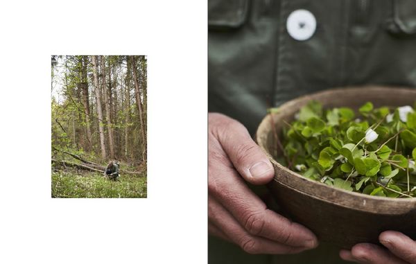 Produktbild: Immergr&uuml;n: Die nordische Gem&uuml;sek&uuml;che