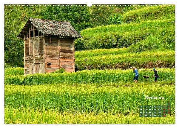 Produktbild: Riz de Chine (Calendrier mural 2026 DIN A2 vertical) calendrier de bureau