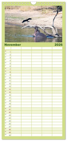 Produktbild: Familienplaner 2026 - Nilpferde, Kolosse im Wasser mit 5 Spalten (Wandkalender, 21 x 45 cm) CALVENDO