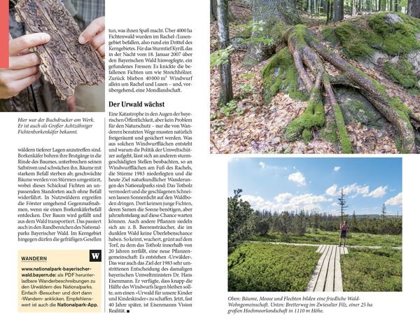 Produktbild: DUMONT Reise-Taschenbuch Reiseführer Bayerischer Wald, Regensburg, Oberpfälzer Wald
