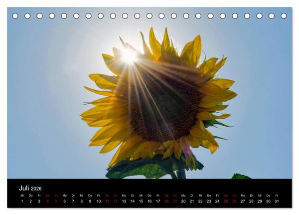 Produktbild: Blumen der Sonne (Tischkalender 2026 DIN A5 quer), CALVENDO Monatskalender
