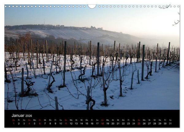 Produktbild: Weinidylle im S&uuml;dburgenland (Wandkalender 2026 DIN A3 quer), CALVENDO Monatskalender