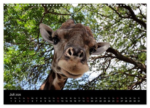 Produktbild: Unsere Erde Highlights weltweit 2026 (Wandkalender 2026 DIN A3 quer), CALVENDO Monatskalender