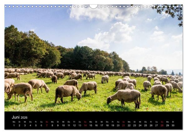 Produktbild: Meine Heimat Westerwald (Wandkalender 2026 DIN A3 quer), CALVENDO Monatskalender