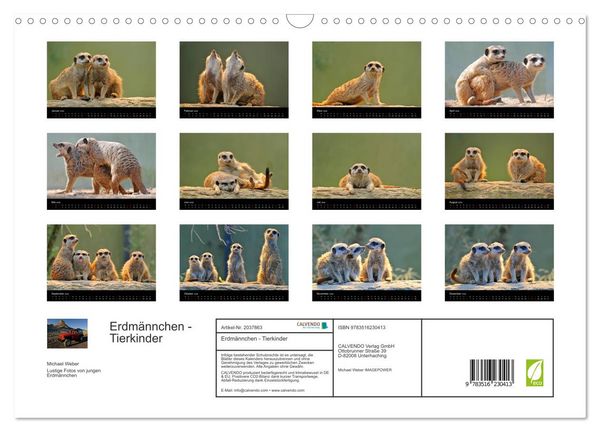 Produktbild: Erdm&auml;nnchen - Tierkinder (Wandkalender 2026 DIN A3 quer), CALVENDO Monatskalender