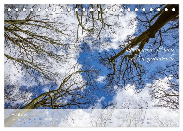 Produktbild: Shinrin yoku - Waldbaden 2026 (Tischkalender 2026 DIN A5 quer), CALVENDO Monatskalender