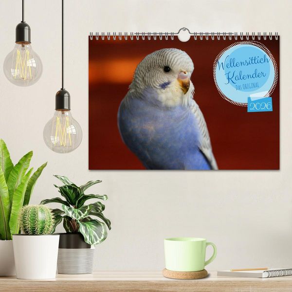 Produktbild: Wellensittichkalender! - Das Original (Wandkalender 2026 DIN A4 quer), CALVENDO Monatskalender