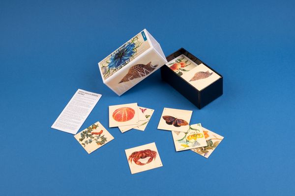 Produktbild: Maria Sibylla Merian. Memo