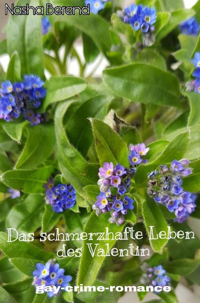 Produktbild: Das schmerzhafte Leben des Valentin