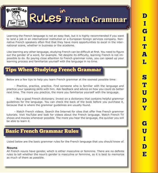 Produktbild: Rules In French Grammar ( Blokehead Easy Study Guide)