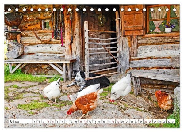 Produktbild: Almen im S&uuml;dtiroler Ultental (Tischkalender 2026 DIN A5 quer), CALVENDO Monatskalender