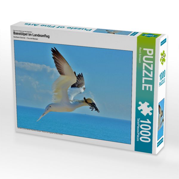 Produktbild: CALVENDO Puzzle Basst&ouml;lpel im Landeanflug 1000 Teile Lege-Gr&ouml;&szlig;e 640 x 480 cm Foto-Puzzle Bild von Ren&eacute; Schaack