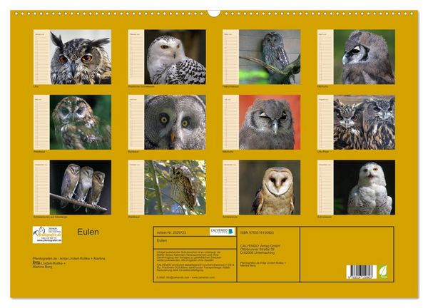 Produktbild: Eulen (Wandkalender 2026 DIN A2 quer), CALVENDO Monatskalender