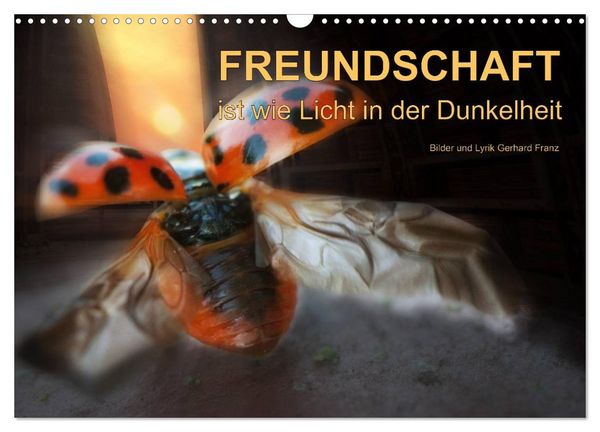 Produktbild: Freundschaft (Wandkalender 2026 DIN A3 quer), CALVENDO Monatskalender