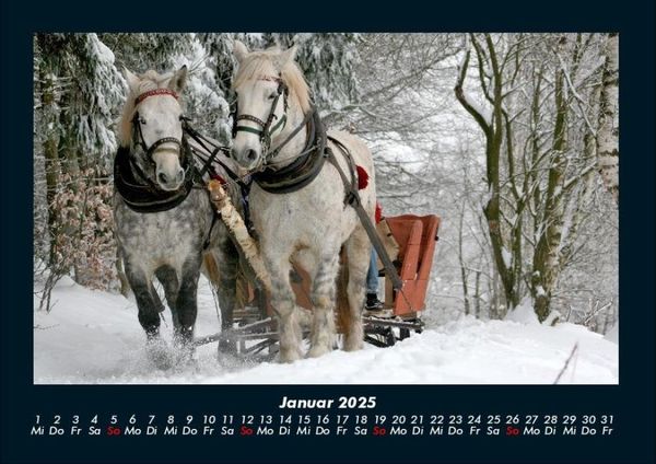 Produktbild: Pferde Kalender 2025 Fotokalender DIN A4