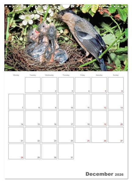 Produktbild: At the dawn of life the secret life of passerines (Wall Calendar 2026 DIN A3 portrait), CALVENDO 12 Month Wall Calendar