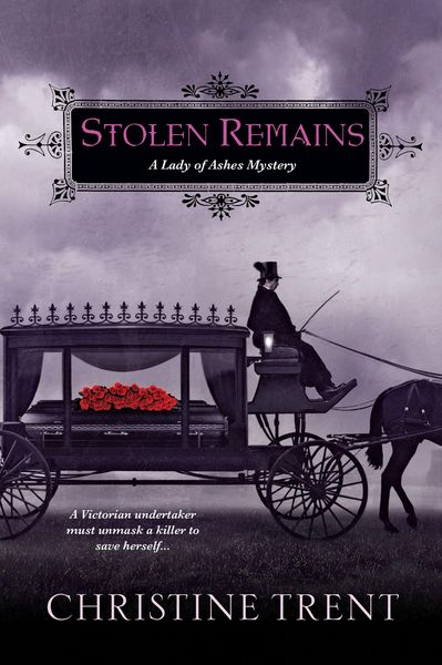 Produktbild: Stolen Remains