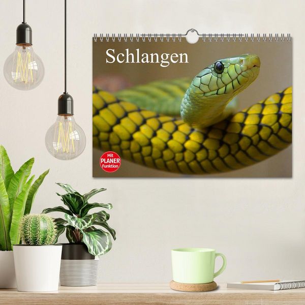 Produktbild: Schlangen (Wandkalender 2026 DIN A4 quer), CALVENDO Monatskalender