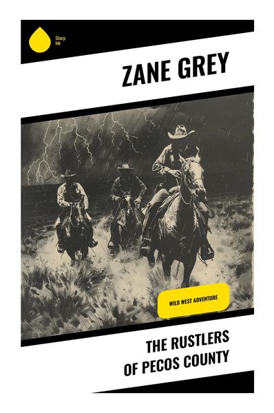 Produktbild: The Rustlers of Pecos County