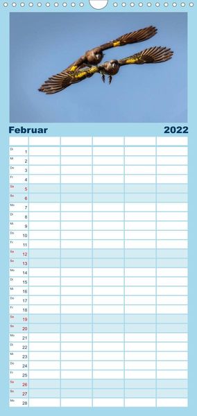 Produktbild: Papageien - Frech, sch&ouml;n und schlau - Familienplaner hoch (Wandkalender 2022 , 21 cm x 45 cm, hoch)