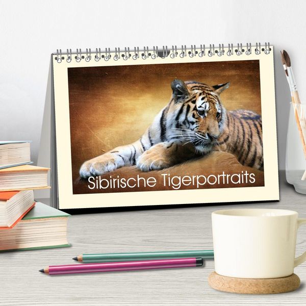 Produktbild: Sibirische Tigerportraits (Tischkalender 2026 DIN A5 quer), CALVENDO Monatskalender
