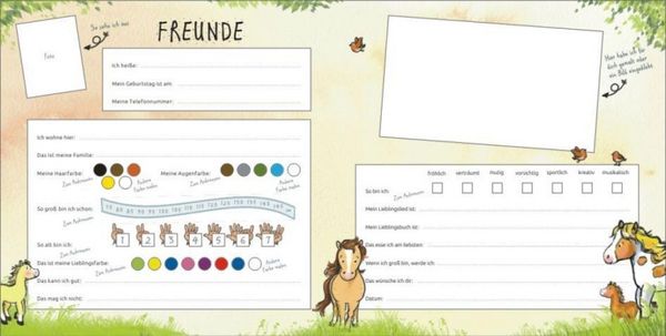 Produktbild: Mein Kindergarten Freunde-Album &ndash; Mit Goldfolienpr&auml;gung auf dem Umschlag!
