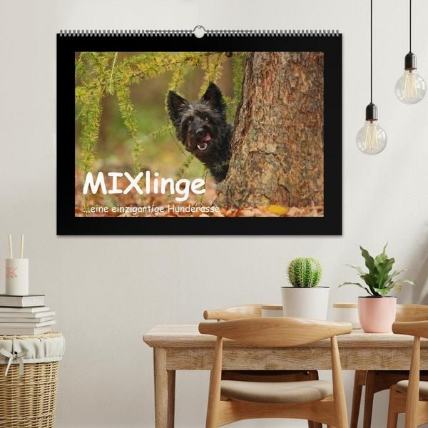 Produktbild: MIXlinge (Wandkalender 2027 DIN A2 quer), CALVENDO Monatskalender