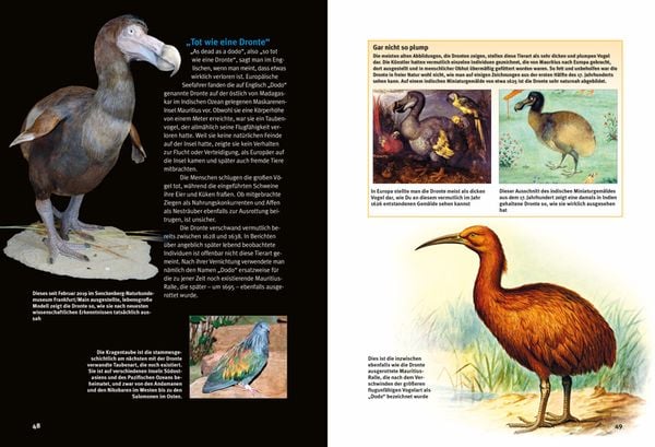 Produktbild: Entdecke Dodo, Beutelwolf & Co