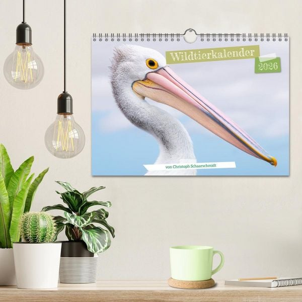 Produktbild: Wildtierkalender (Wandkalender 2026 DIN A4 quer), CALVENDO Monatskalender