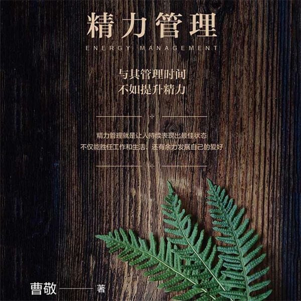 Produktbild: 精力管理：与其管理时间，不如提升精力
