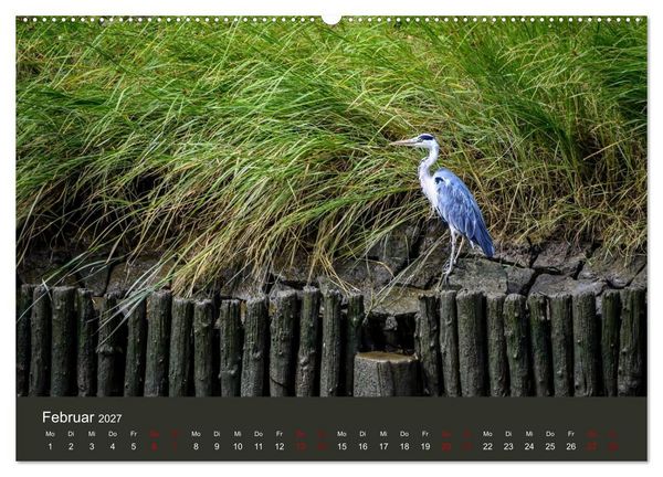 Produktbild: Reiher in der Elbmarsch (hochwertiger Premium Wandkalender 2027 DIN A2 quer), Kunstdruck in Hochglanz
