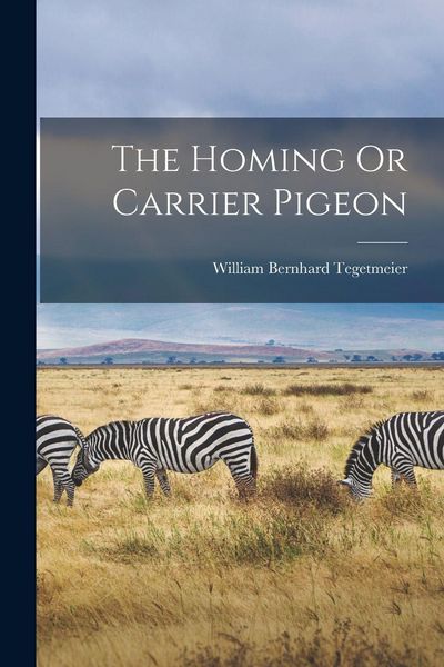 Produktbild: The Homing Or Carrier Pigeon