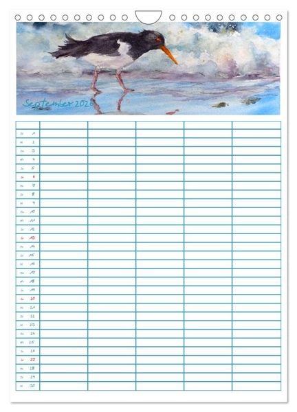Produktbild: Amrumaquarelle (Wandkalender 2026 DIN A4 hoch), CALVENDO Monatskalender
