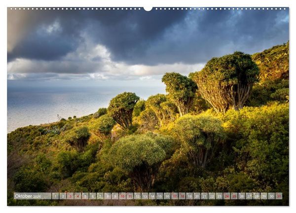 Produktbild: Kanarisch Wild - La Palma (Wandkalender 2026 DIN A2 quer), CALVENDO Monatskalender