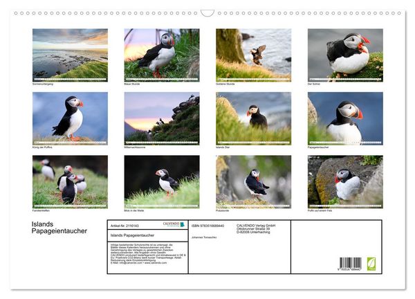 Produktbild: Islands Papageientaucher (Wandkalender 2026 DIN A2 quer), CALVENDO Monatskalender