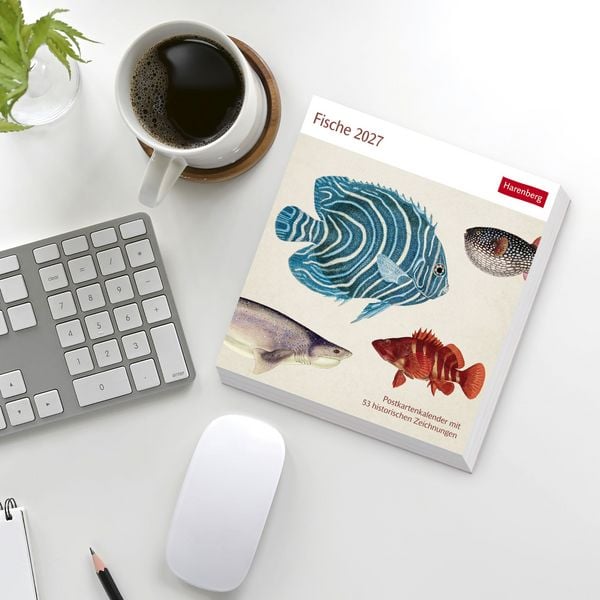 Produktbild: Fische Postkartenkalender 2027 - Postkartenkalender mit 53 historischen Zeichnungen