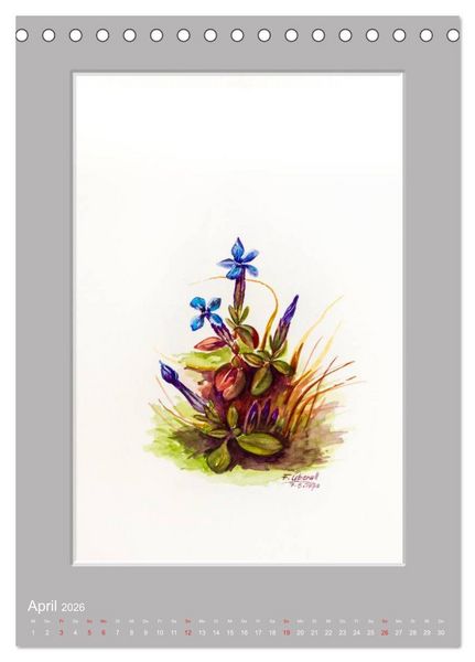 Produktbild: Alpenblumen Aquarelle aus Tirol (Tischkalender 2026 DIN A5 hoch), CALVENDO Monatskalender