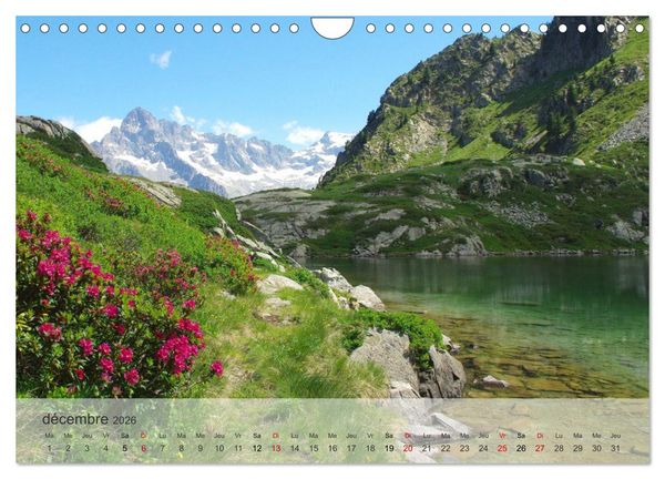 Produktbild: Echapp&eacute;e alpine (Calendrier mural 2026 DIN A4 vertical), CALVENDO calendrier mensuel