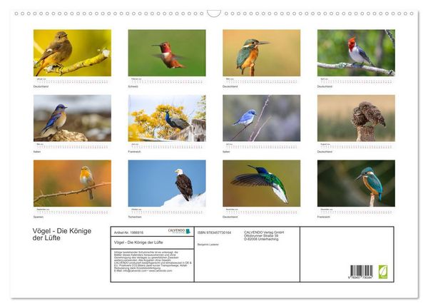 Produktbild: V&ouml;gel - Die K&ouml;nige der L&uuml;fte (Wandkalender 2026 DIN A2 quer), CALVENDO Monatskalender