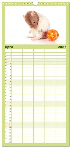 Produktbild: Familienplaner 2027 - S&uuml;&szlig;e M&auml;use und Coole Ratten mit 5 Spalten (Wandkalender, 21 x 45 cm) CALVENDO