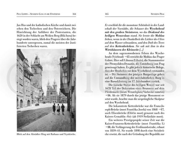 Produktbild: Severins Gang in die Finsternis