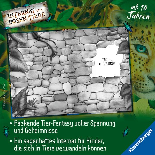 Produktbild: Internat der b&ouml;sen Tiere, Band 1 - Die Pr&uuml;fung