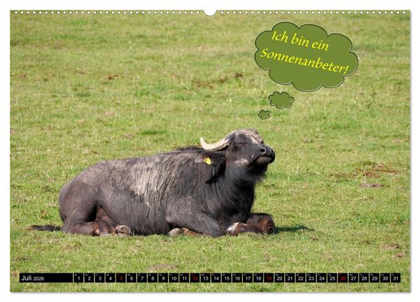 Produktbild: Wenn Tiere sprechen k&ouml;nnten! Der lustige Spr&uuml;che Kalender (Wandkalender 2026 DIN A2 quer), CALVENDO Monatskalender